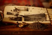 diorient_260_srgb