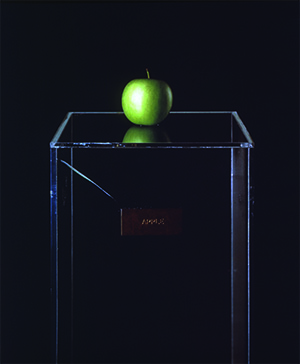 Yoko Ono apple 300x3641