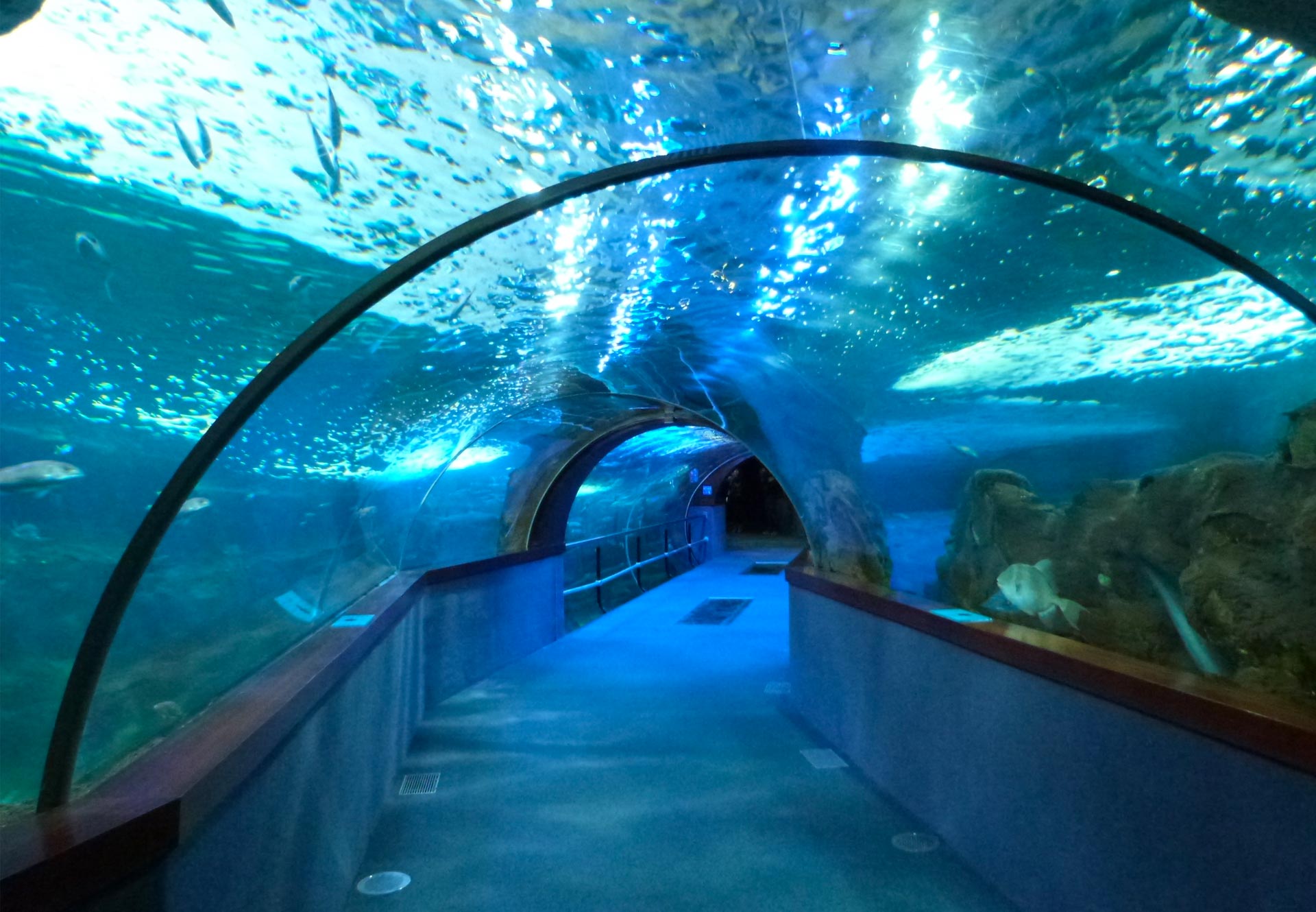 Aquarium, Donostia-San Sebastián