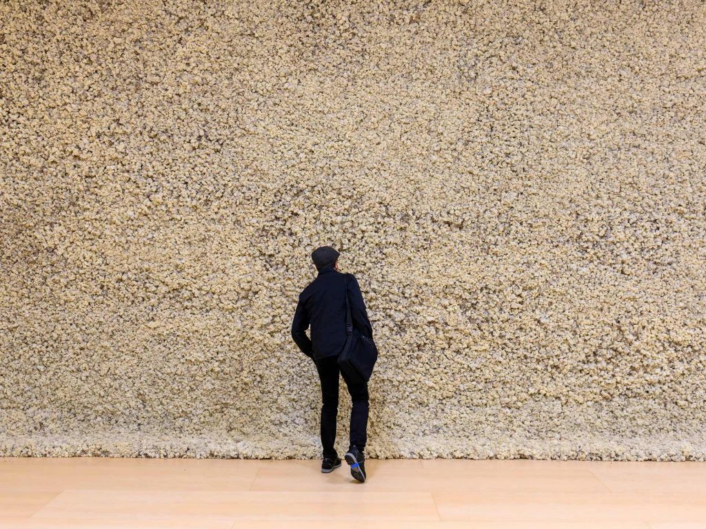 Pared de liquen