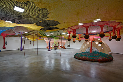 IMG Ernesto Neto Baleirobala 03