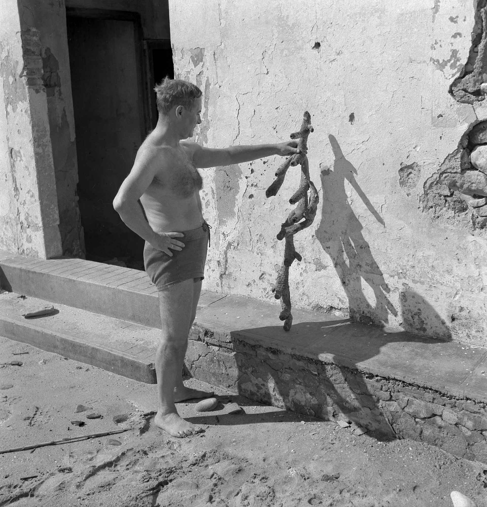Joan Miró contemplando una raíz en la playa de Mont-roig, Tarragona, c. 1946-1950