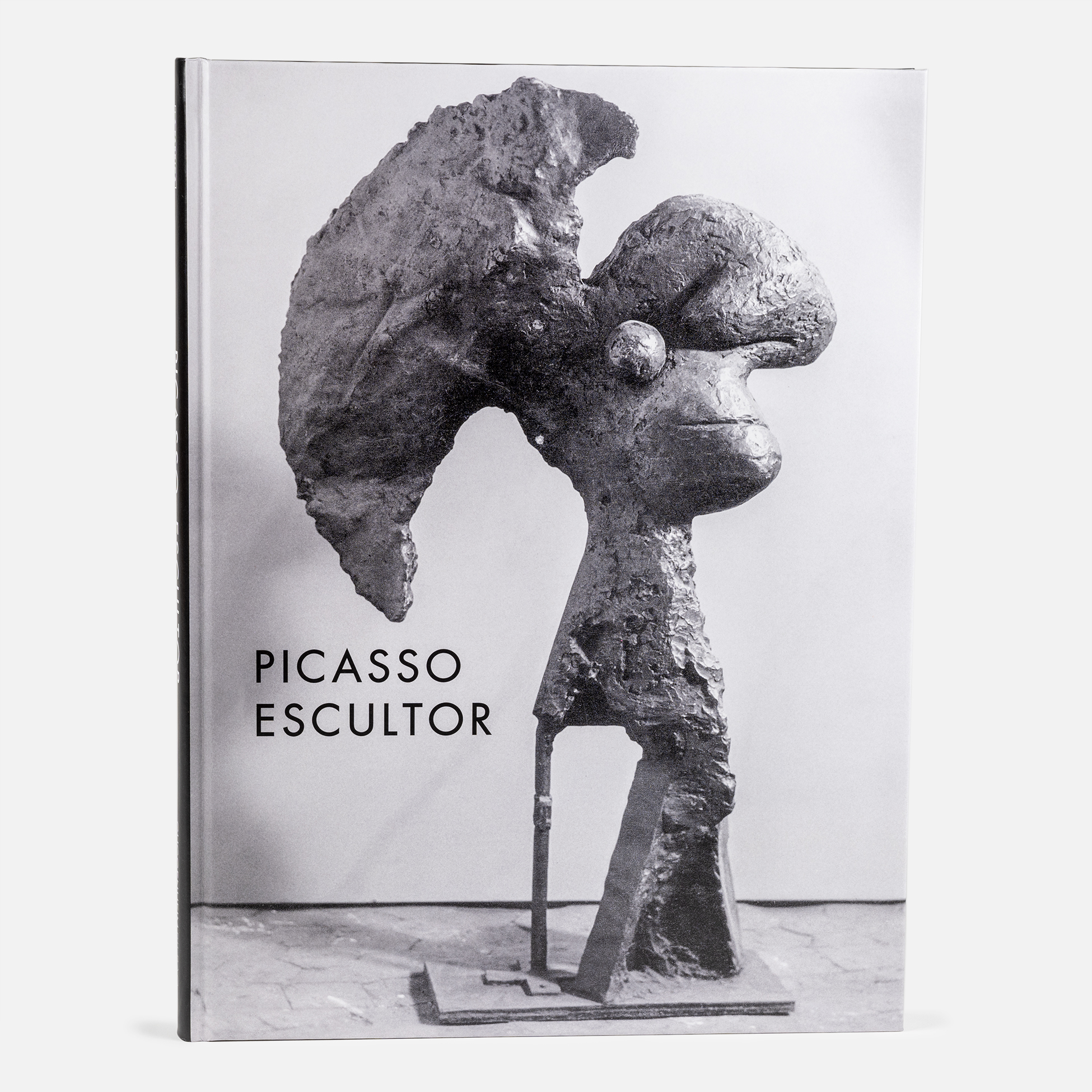 Catálogo Picasso ESP 1