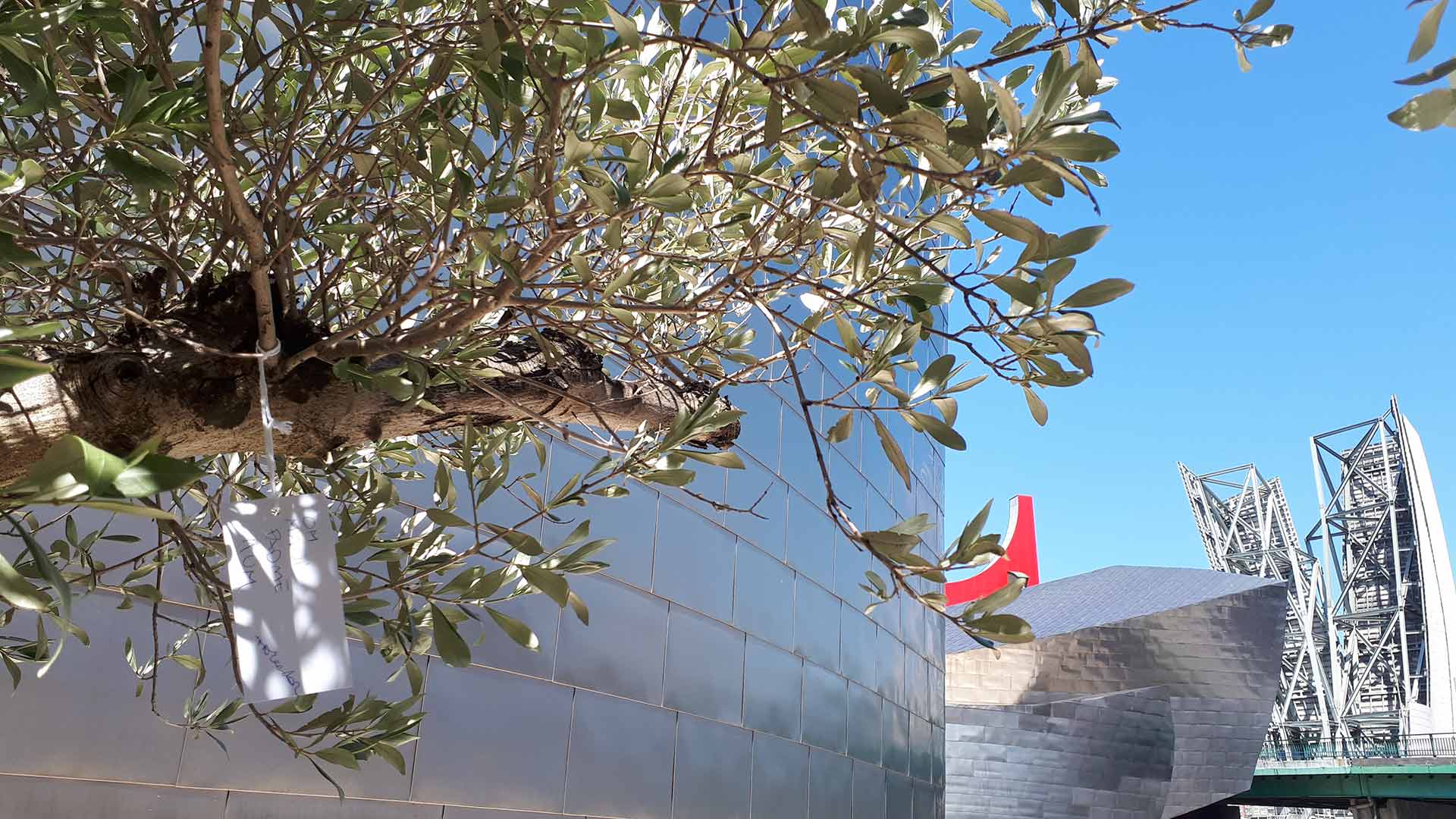 árbol de los deseos