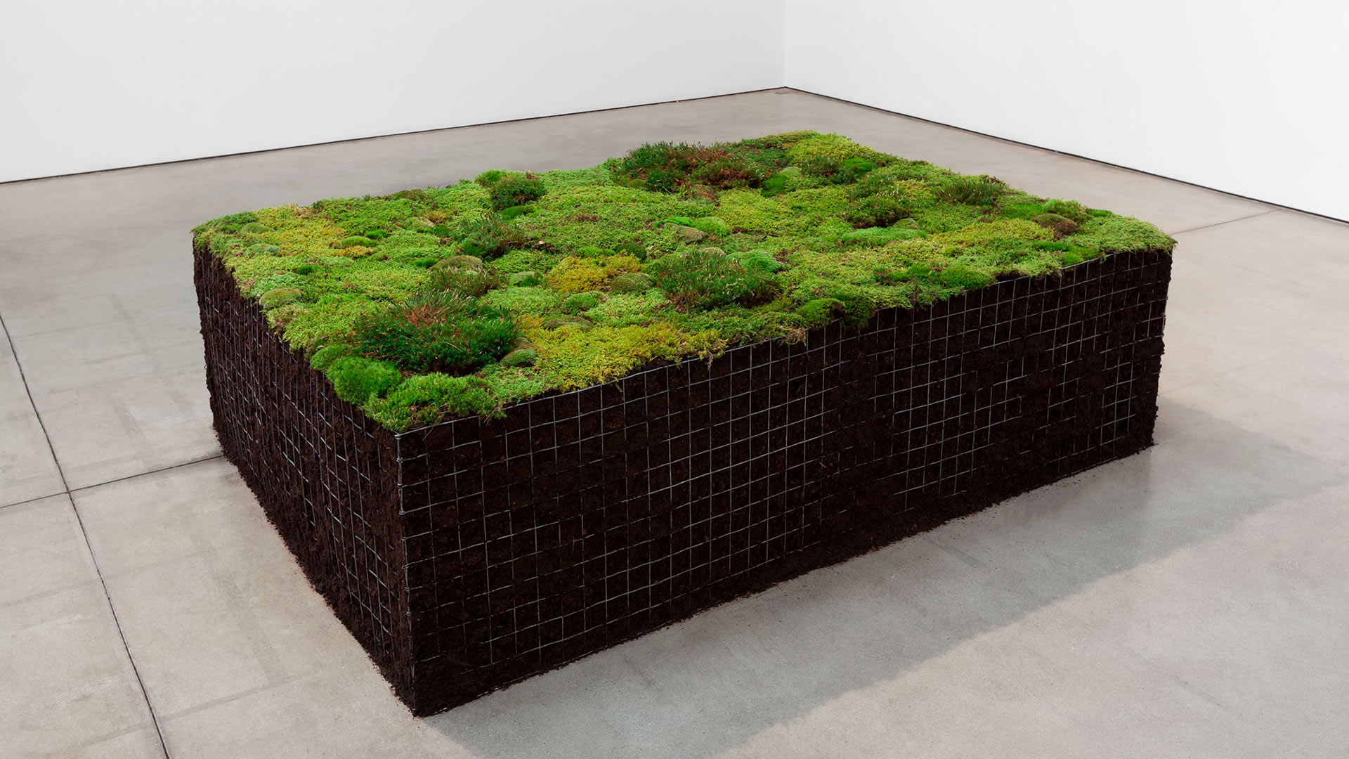 visitas-sostenibilidad