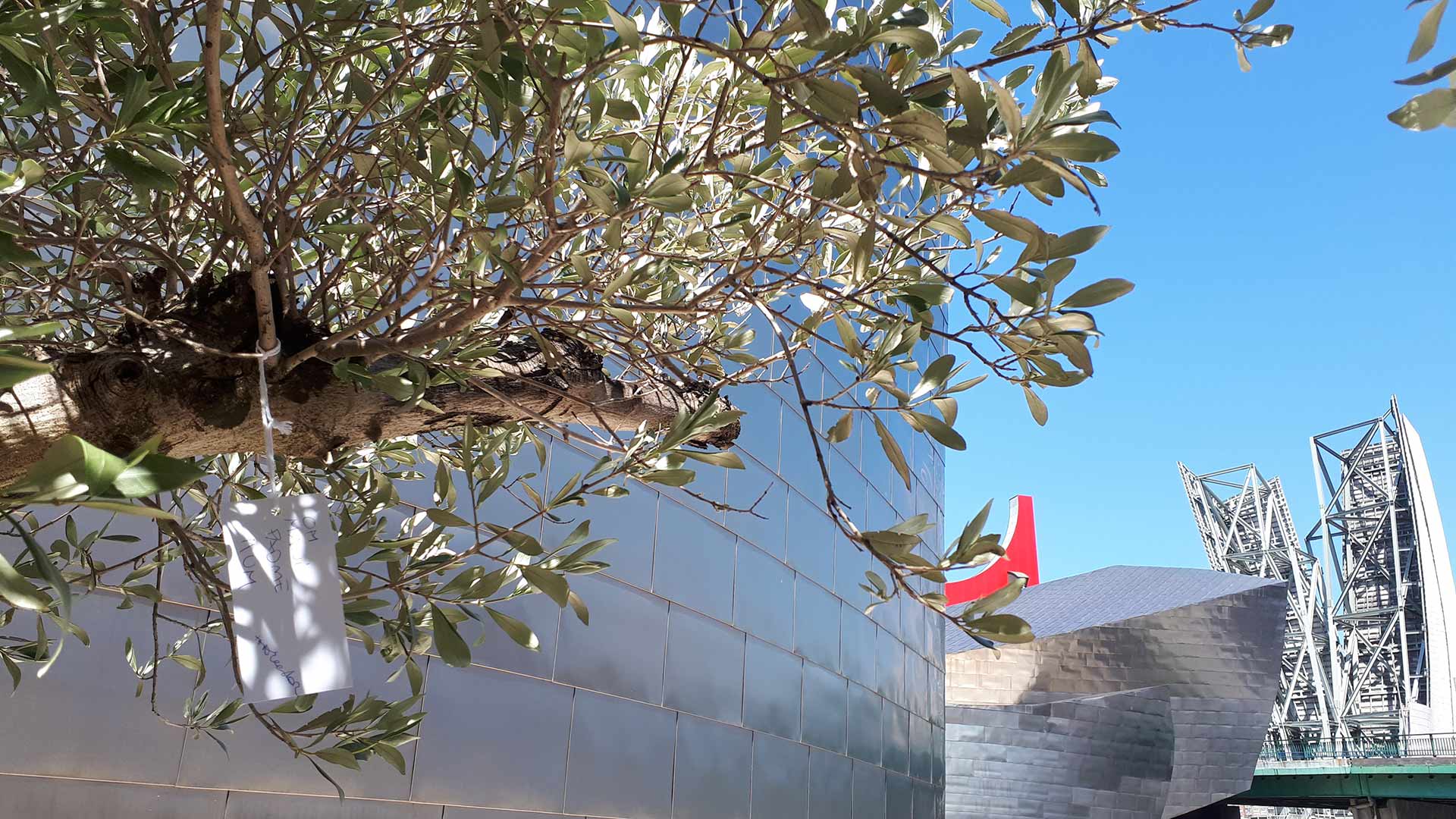 Árbol de los deseos