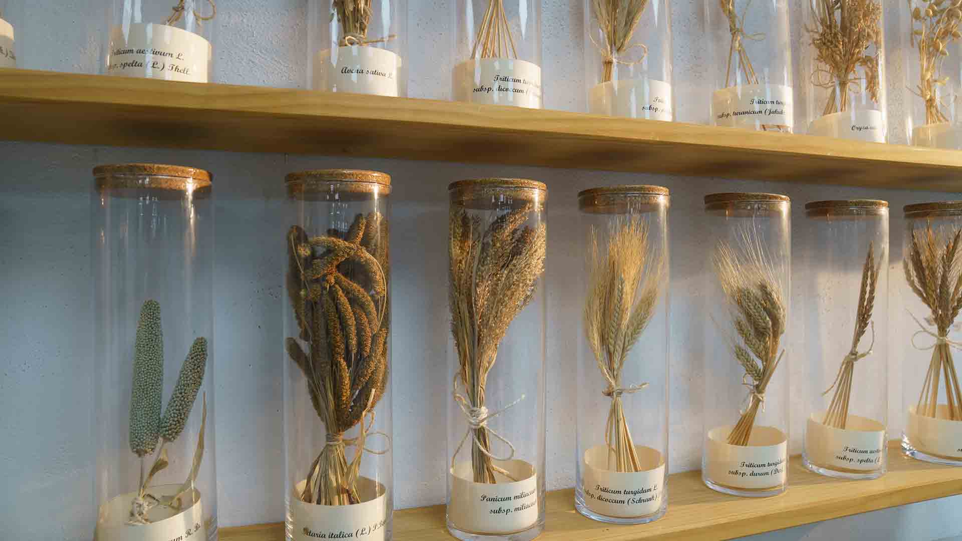 Recorrido-con-6-marzo-Leonor-P