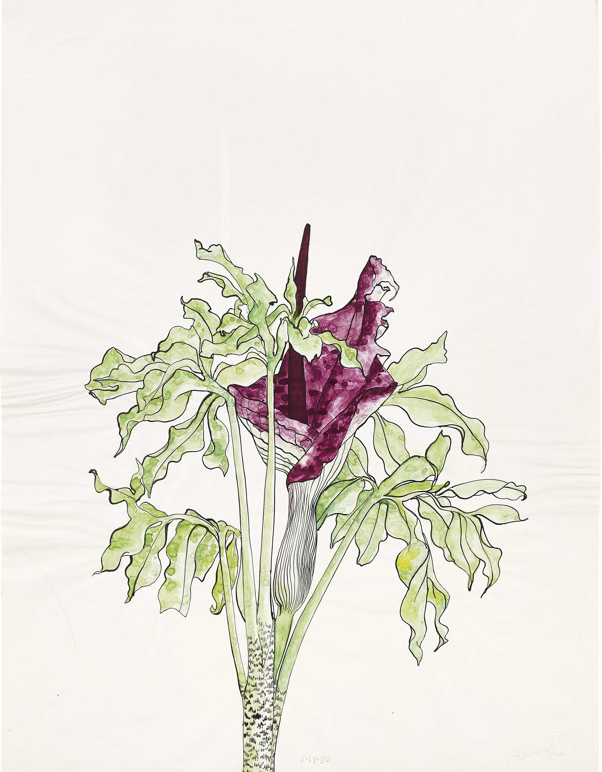 6386RALWC090TIFFCROPPEDJPAONESSA