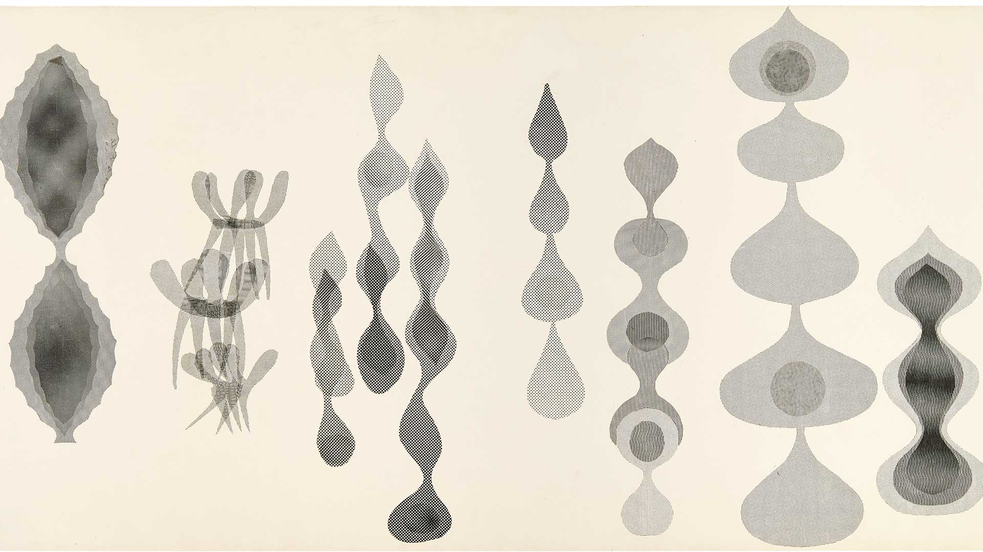 Laboratorio-de-creatividad-lineas